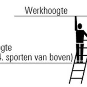 Dakladder 1,96m 7 Sporten Aluminium